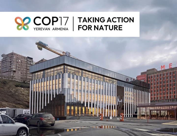 work-cop17