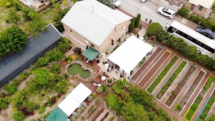 prog-nurseries-2